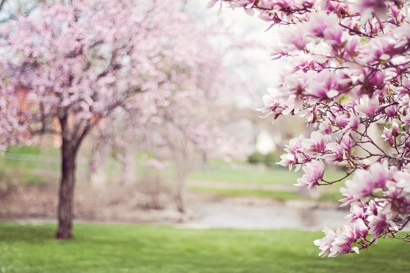 Spring Dishes